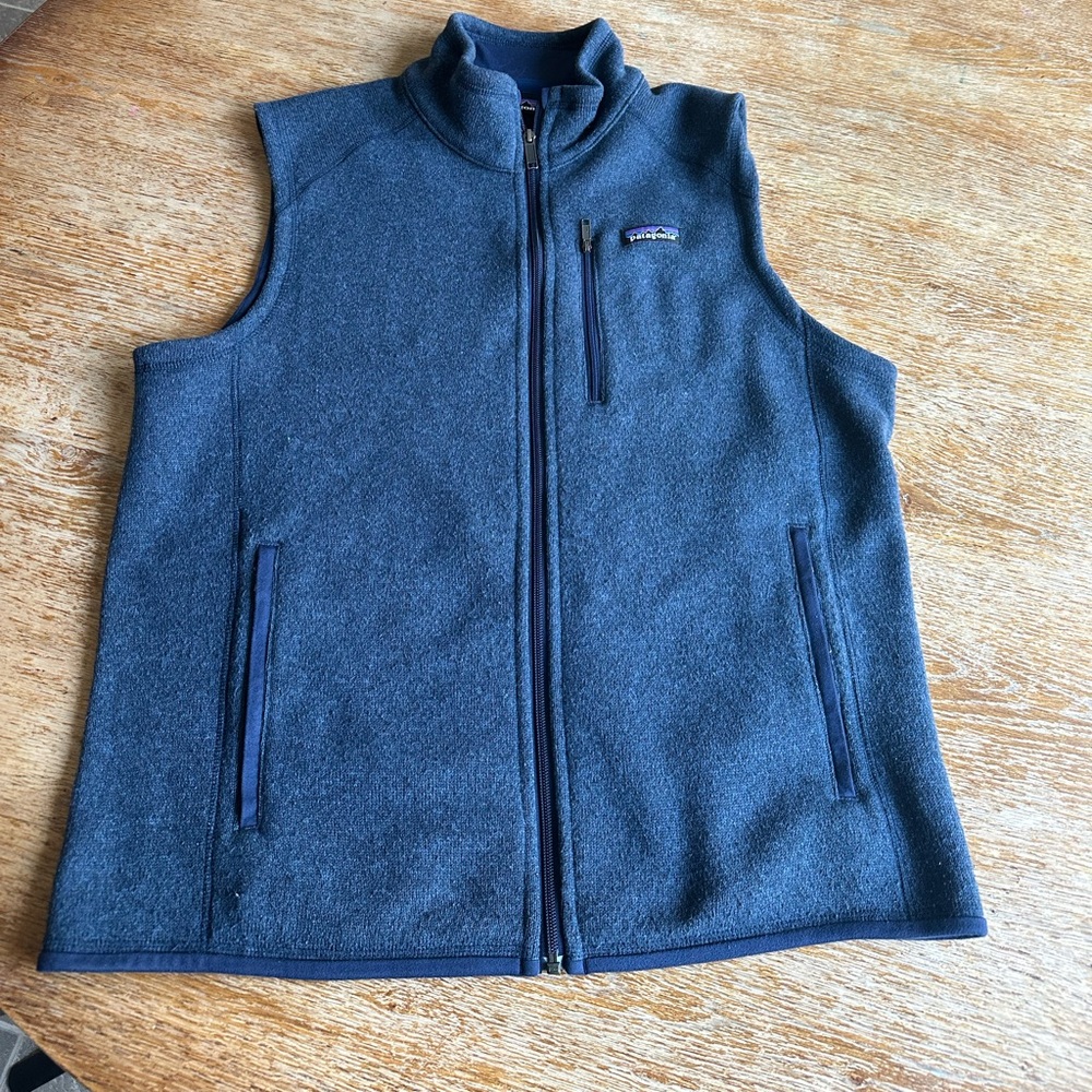 Patagonia Better Sweater Fleece Vest